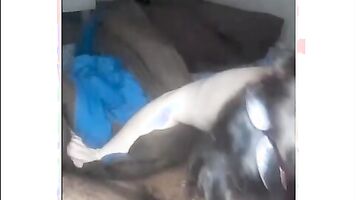 Cam Couple Bbbj Cim